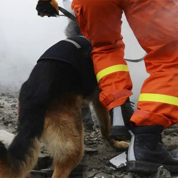 California Association of Marriage and Family Therapist